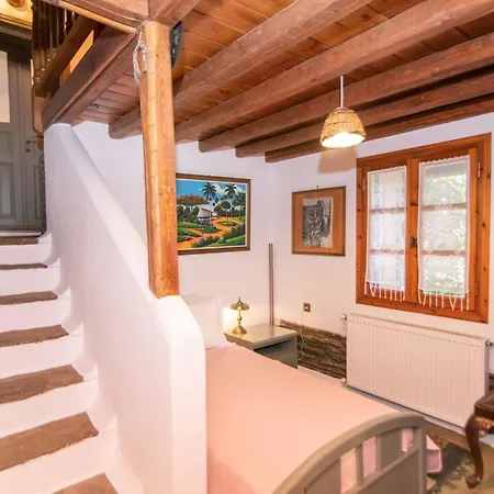 Сasa de vacaciones Gladiolus House - Tinos *