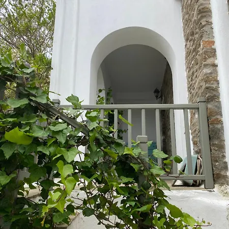 Gladiolus House - Tinos Tzados