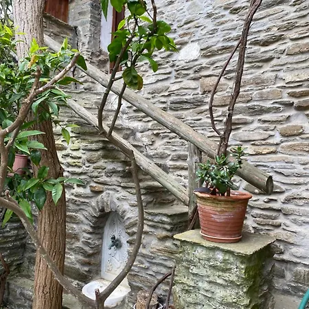 Gladiolus House - Tinos *